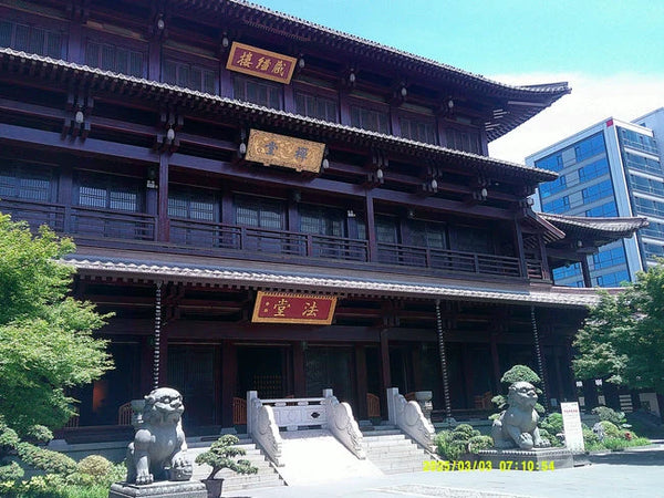 Photo diary image 2