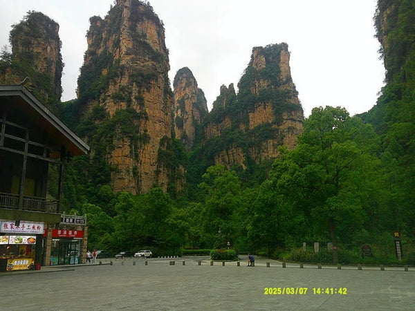 Photo diary image 4