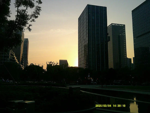 Photo diary image 7