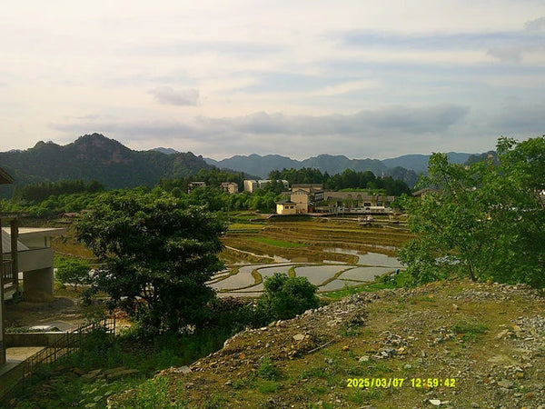Photo diary image 9